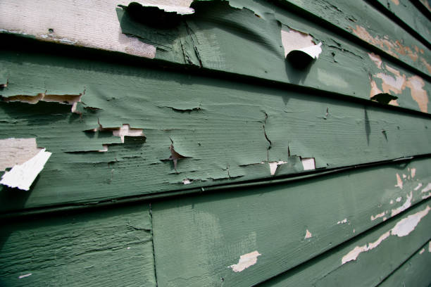 Best Siding Painting and Refinishing  in Charlotte, NC