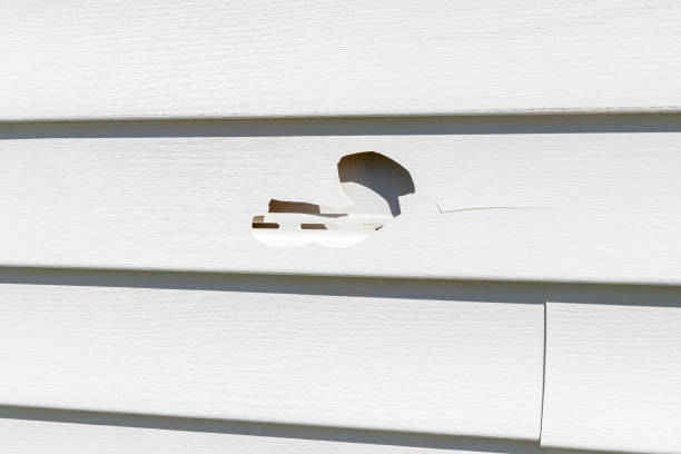Best Siding Removal and Disposal  in Charlotte, NC